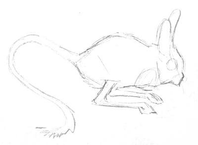 Тушканчик карандашом