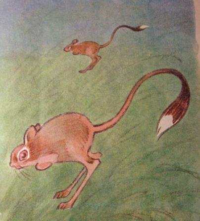 Тушканчик рисунок легкий