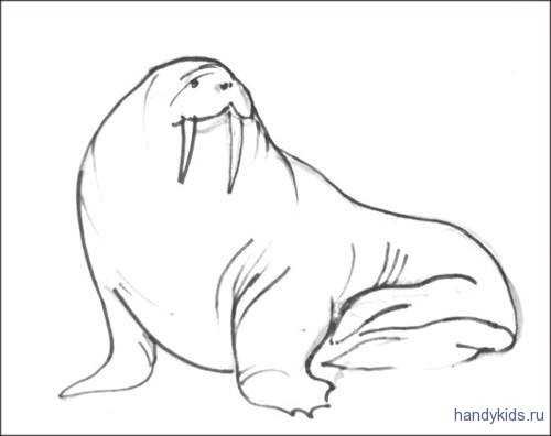 Морж для детей