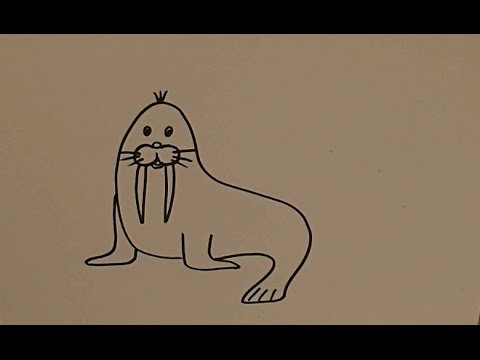 Рисование морж