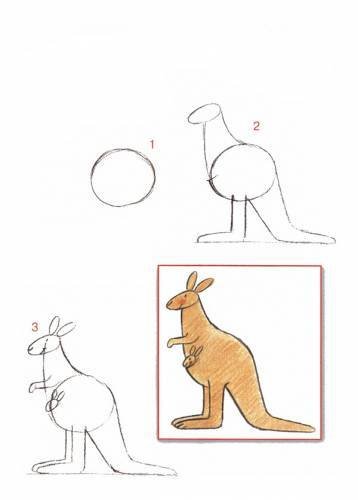 Кенгуру рисунок поэтапно