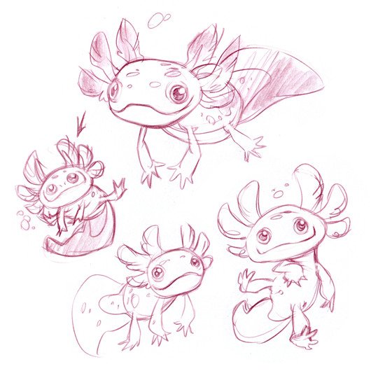 Аксолотль Кавайи