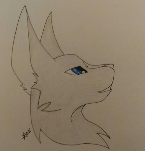 Срисовать котов воителей