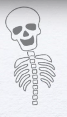 Скелет грудной клетки карандашом анатомия