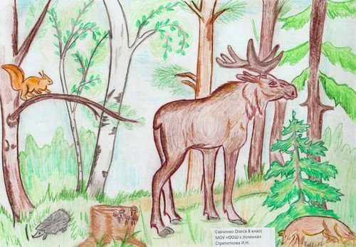 Рисование на тему лес и его обитатели