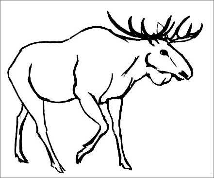 Картинки лося карандашом