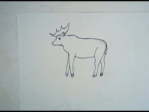 Поэтапный рисунок лося