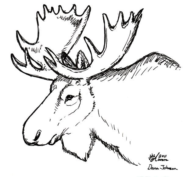 Поэтапное рисование лося для детей