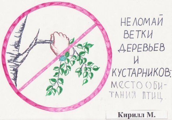 Плакат береги растения