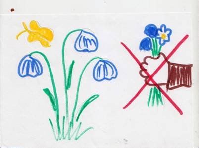 Охрана природы карандашом