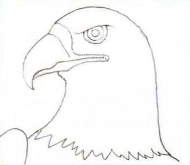 Контурное изображение орла