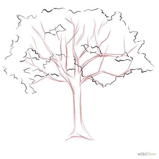 Дерево яблоня рисунок карандашом