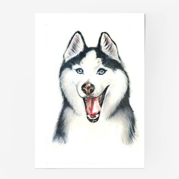 Хаски картинка для детей