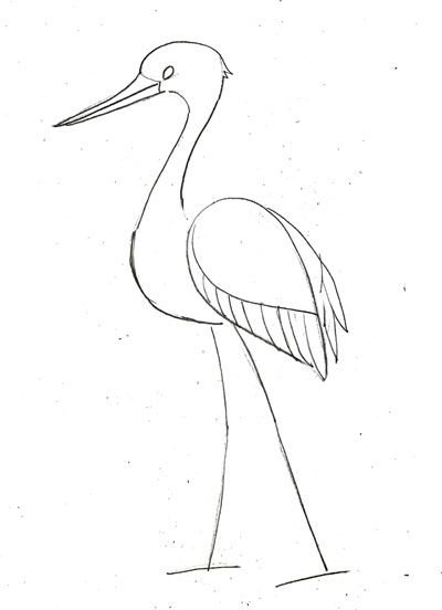 Цапля рисунок легкий