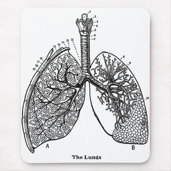 Берегите легкие