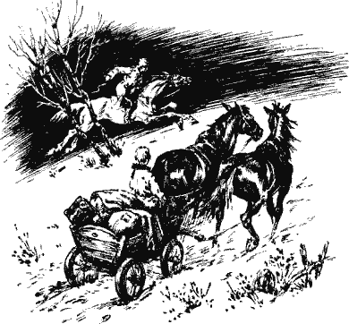 Что с возу упало то пропало