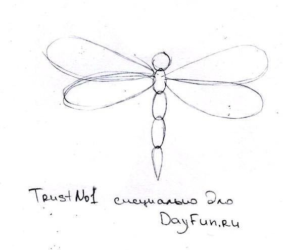 Как нарисовать стрекозу карандашом поэтапно для детей