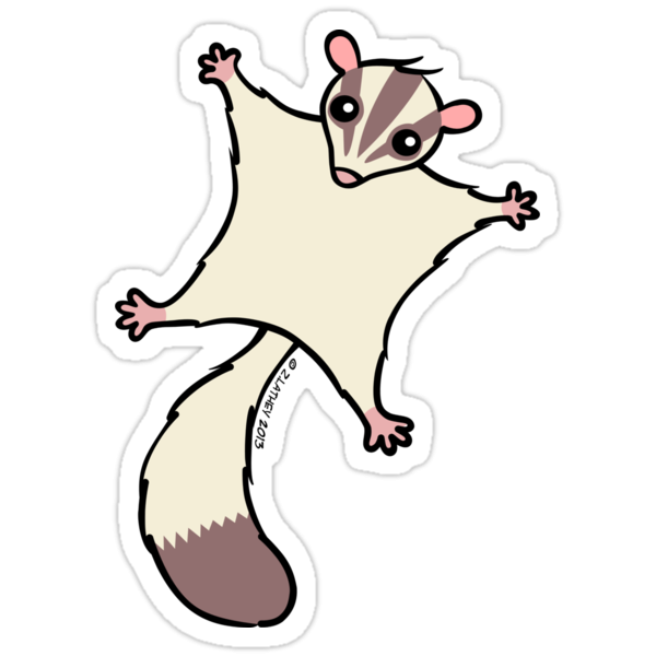 Раскраска сахарная летяга