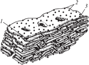 Эпс рисунки легкие (47 фото)