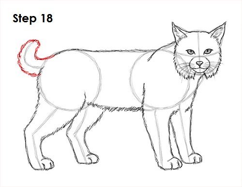 Животные акварелью для начинающих