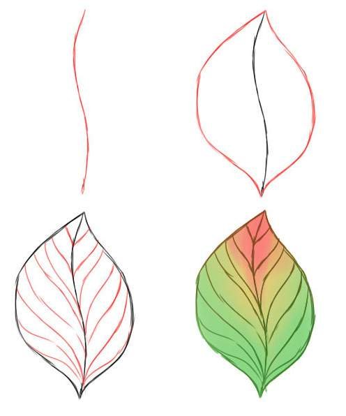 Осенний лист поэтапное рисование