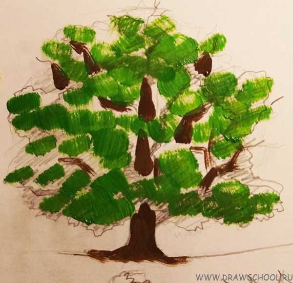 Дуб рисование для детей