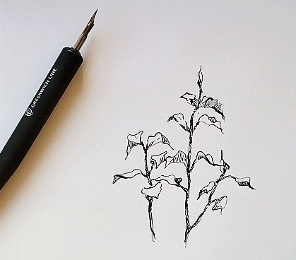 Ландшафтный скетчинг тушь