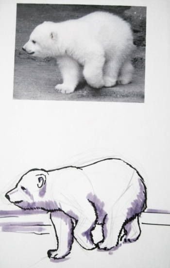 Этапы рисования белого медвежонка