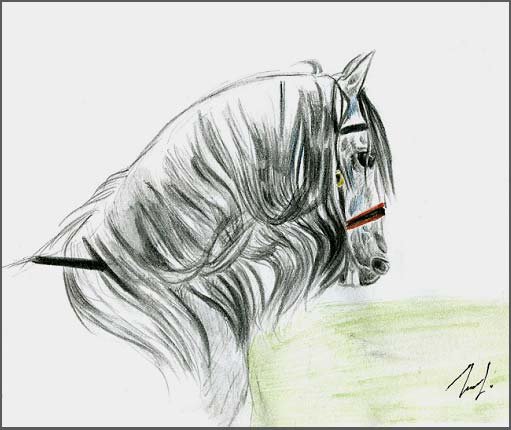 Песнь о вещем Олеге иллюстрации