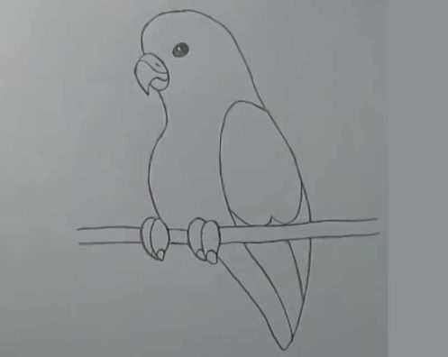 Нарисовать попугая
