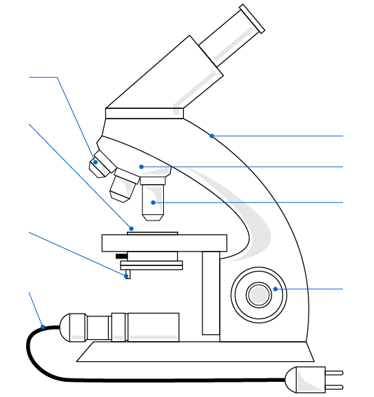 Микроскоп вид сбоку чертеж