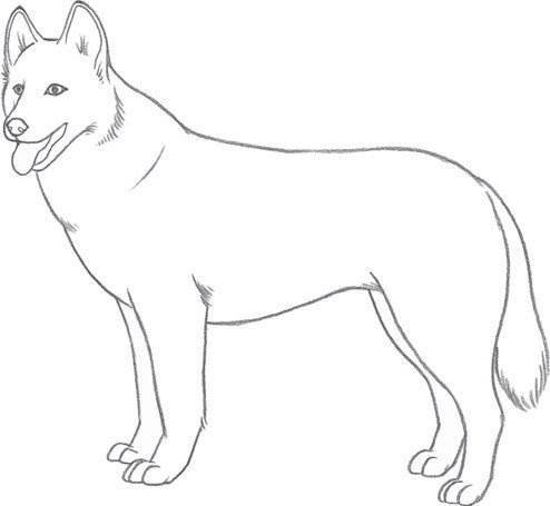 Собака рисунок карандашом