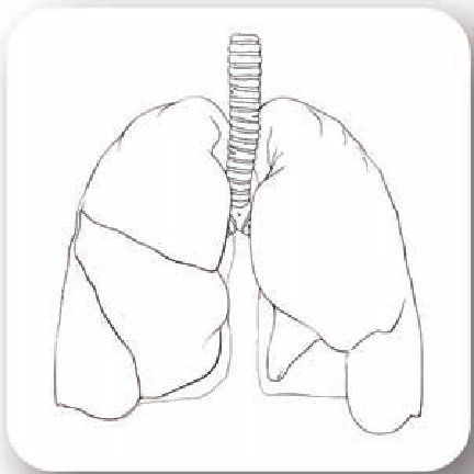 Легкие рисунки для срисовывания маленькие