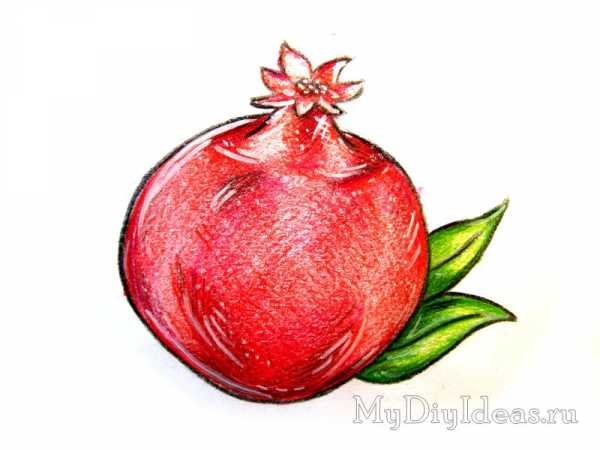 Гранат карандашом