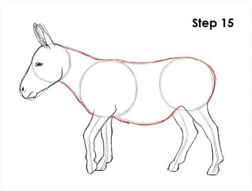 Поэтапное рисование осла