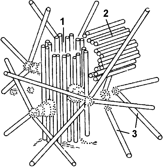 Схема строения эукариотической клетки