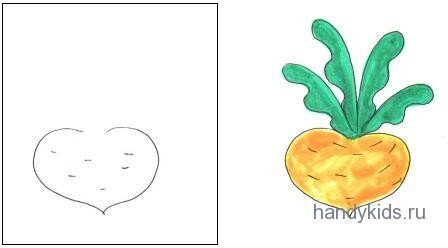 Рисование сказки Репка в старшей группе