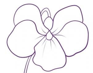 Схема рисования фиалки