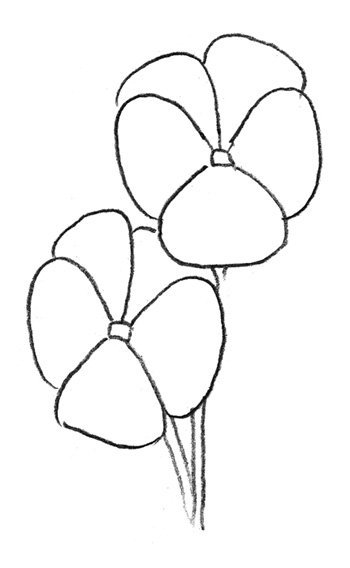 Сенполия магунгенская