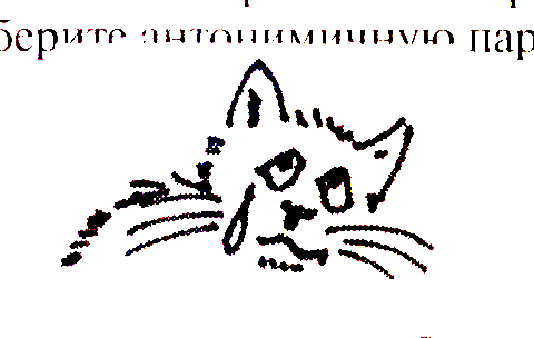 Кот наплакал рисунок