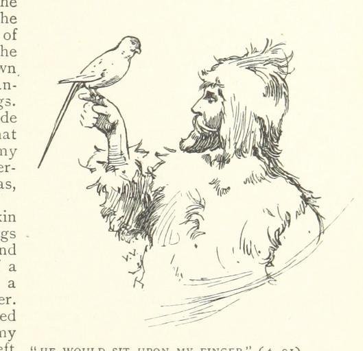 Робинзон Крузо раскраска