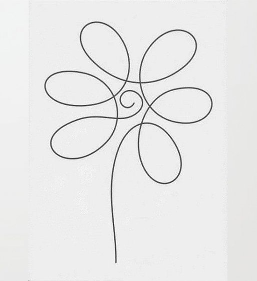 Цветы непрерывной линией
