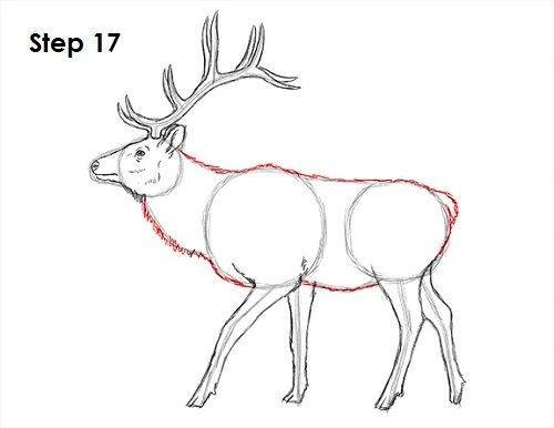 Рисование с детьми Северный олень