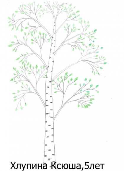 Нарисовать березу