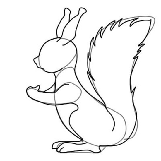 Как нарисовать белку карандашом поэтапно