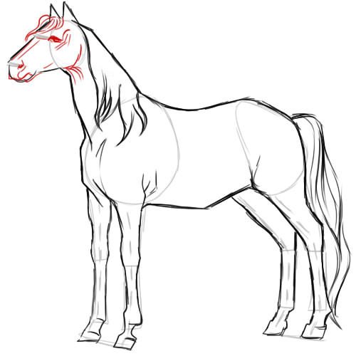 Как нарисовать лошадь