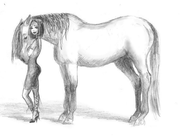 Стоит лошадь рисунок - 86 фото