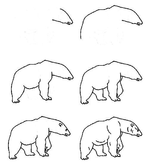 Этапы рисования медведя