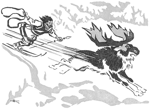 Калевала Лось