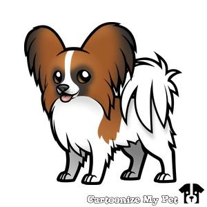 Папильон Чиби